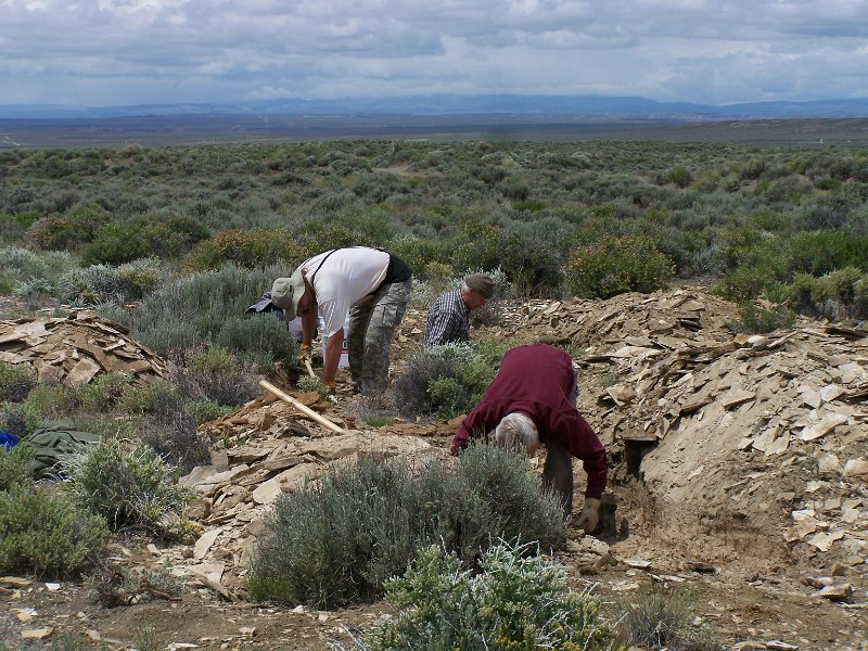 No 41 Blue Forrest wood. Some enthusiastic rockhounds, Rob, Larry and Joel. .JPG
